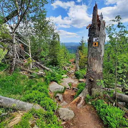 Wildfeuer Kirchdorf im Wald